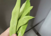 误食一盘家常菜，夫妻同时中毒，艺人竟也有此惨痛经历