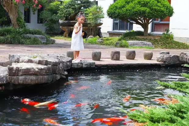 宁波这处缤纷花海遛娃地，浪漫到尖叫，萌娃玩到不想走~
