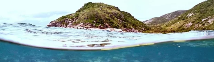 地球二氧化碳浓度再破纪录，影响究竟有多大？