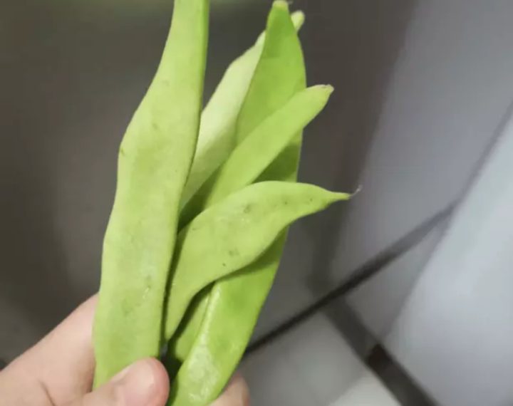 误食一盘家常菜，夫妻同时中毒，艺人竟也有此惨痛经历