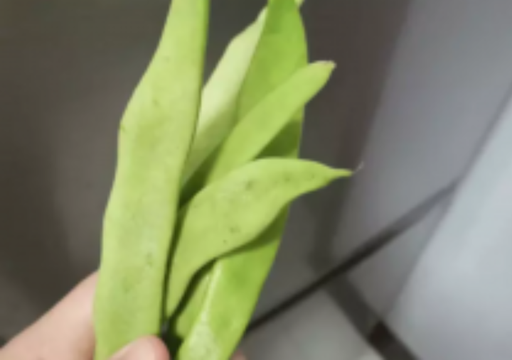 误食一盘家常菜，夫妻同时中毒，艺人竟也有此惨痛经历