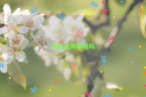 男主是高泰明吗